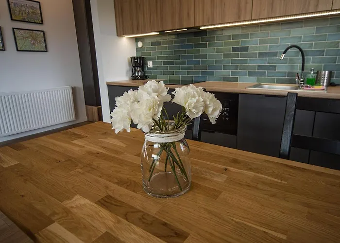 Apartment Invest Szklarska 800 C9 *